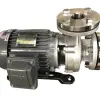 Máy bơm trục ngang đầu inox GSD 4 Pole