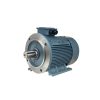 motor mặt bích SGP